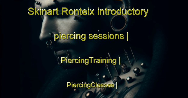 Skinart Ronteix introductory piercing sessions | PiercingTraining | PiercingClasses | SkinartTraining-France